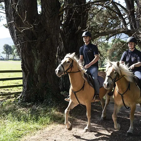 ومنتجع The Europe فندق Fossa