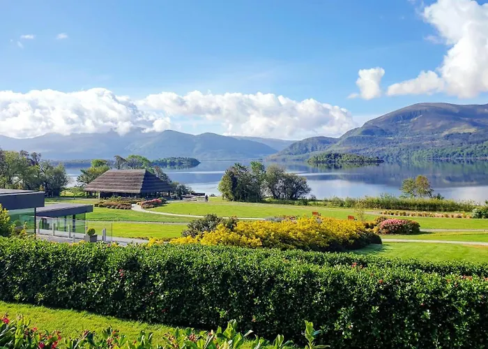 Отель The Europe &